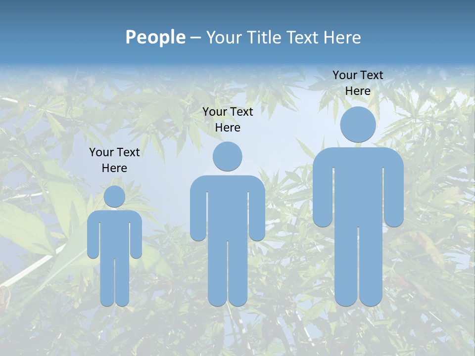 Smoker Culture Marijuana PowerPoint Template