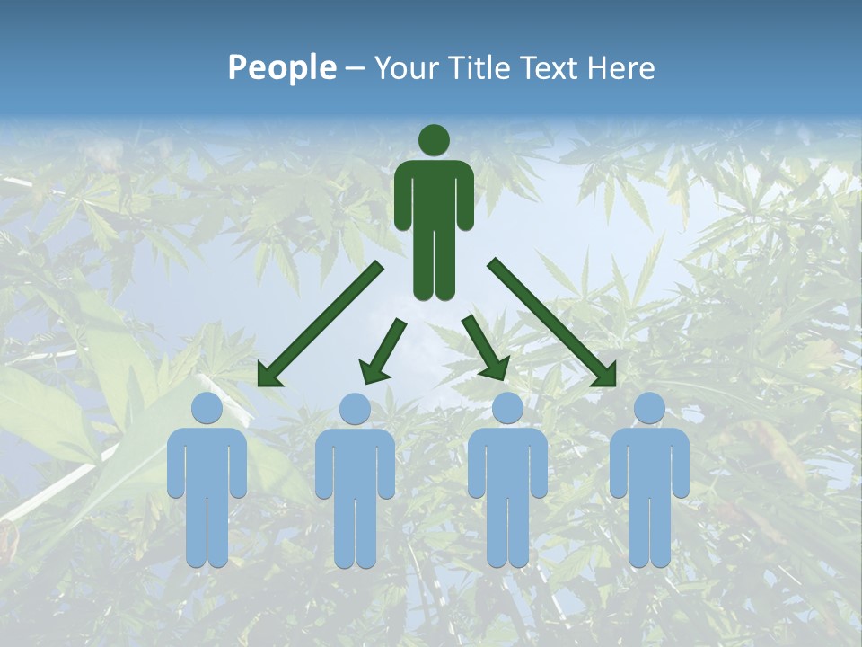 Smoker Culture Marijuana PowerPoint Template