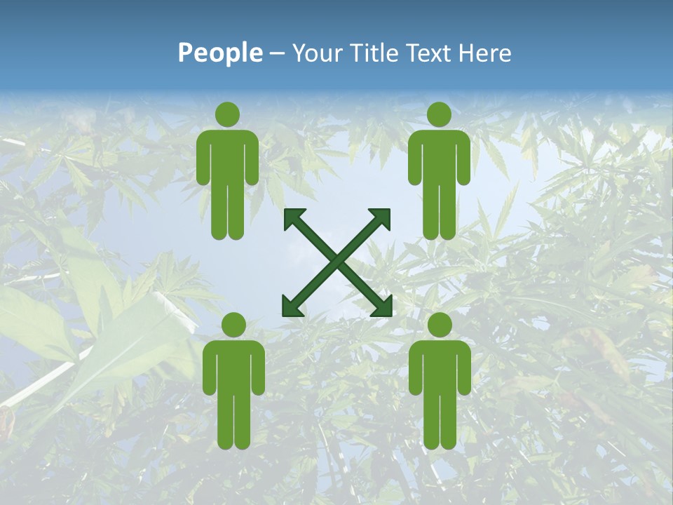 Smoker Culture Marijuana PowerPoint Template