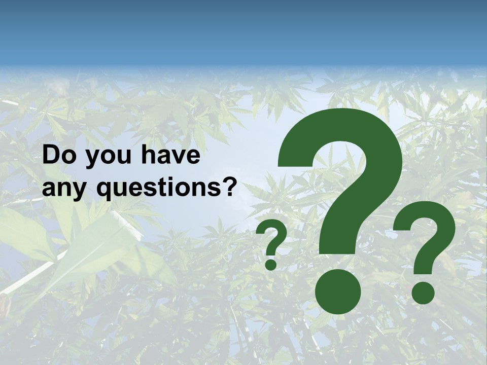 Smoker Culture Marijuana PowerPoint Template