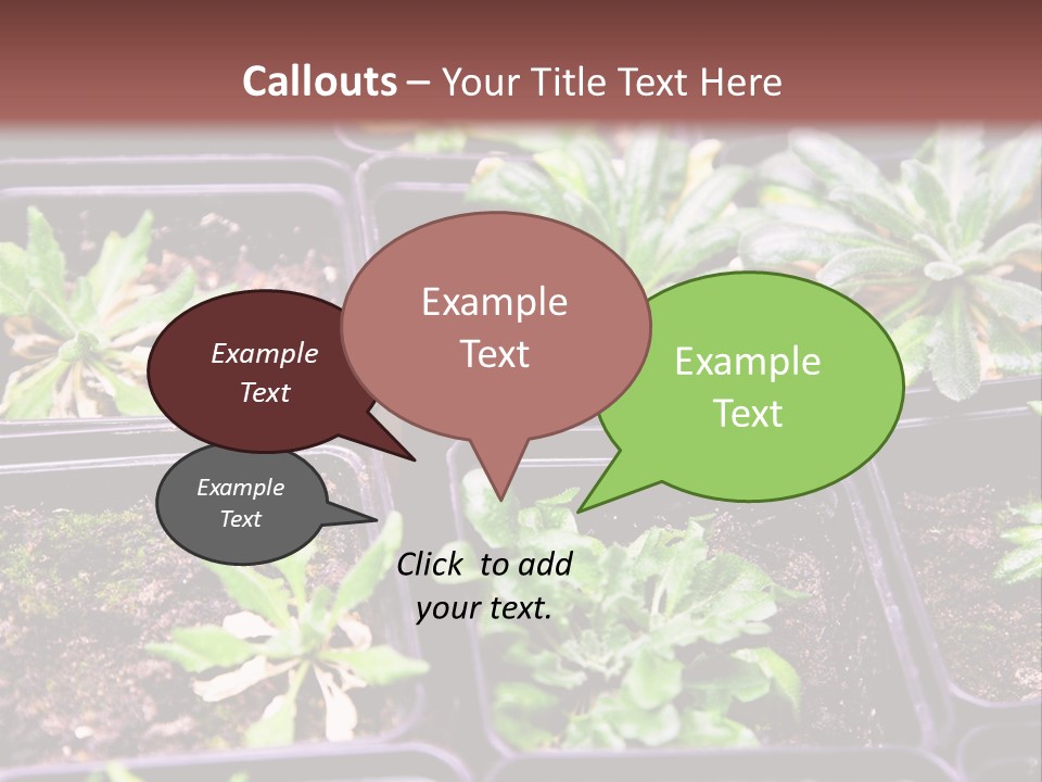 Transgenic Biology Modification PowerPoint Template