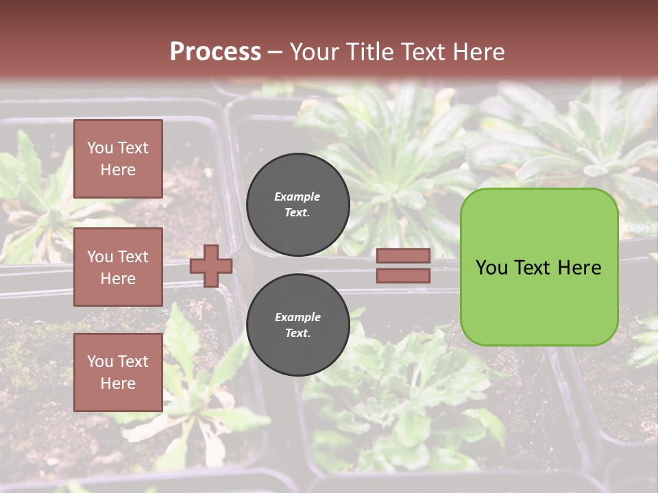 Transgenic Biology Modification PowerPoint Template