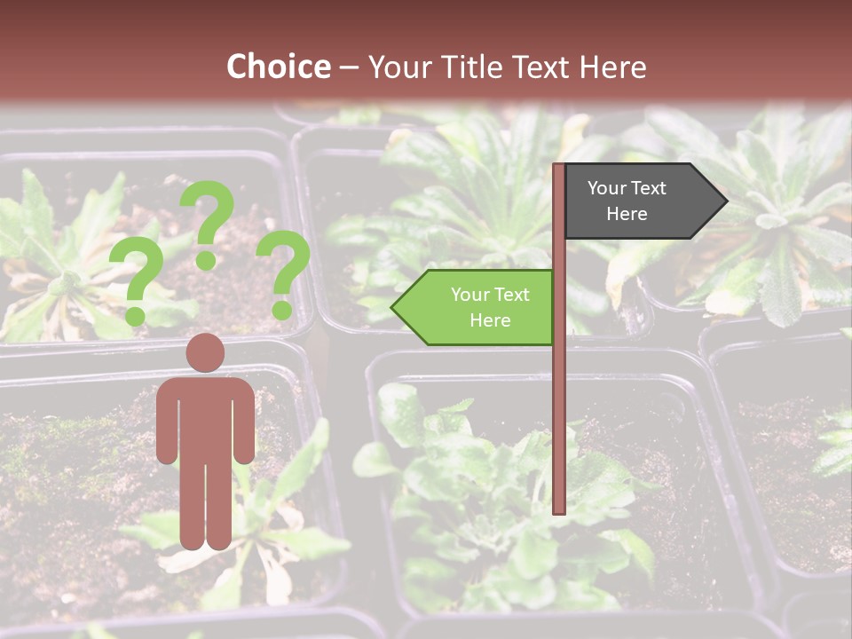 Transgenic Biology Modification PowerPoint Template