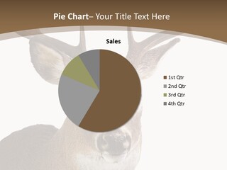 Whitetail Horns Forests PowerPoint Template