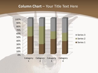 Whitetail Horns Forests PowerPoint Template