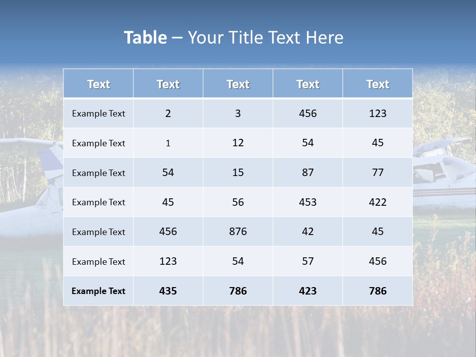 Parts Daytime Planes PowerPoint Template