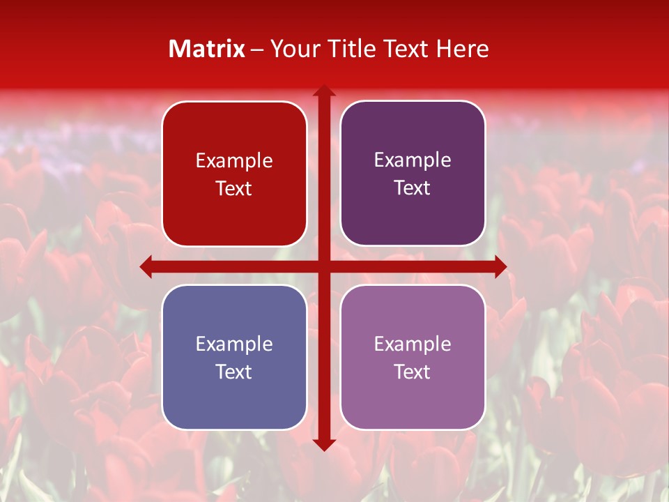Petal Fresh Park PowerPoint Template