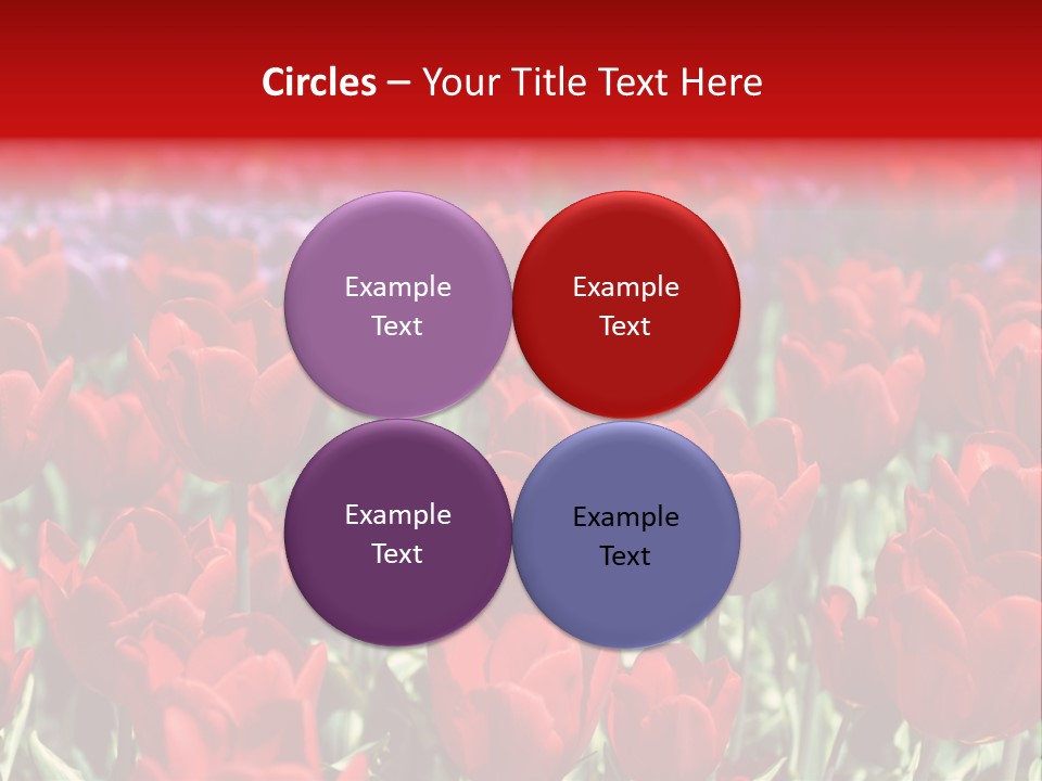 Petal Fresh Park PowerPoint Template