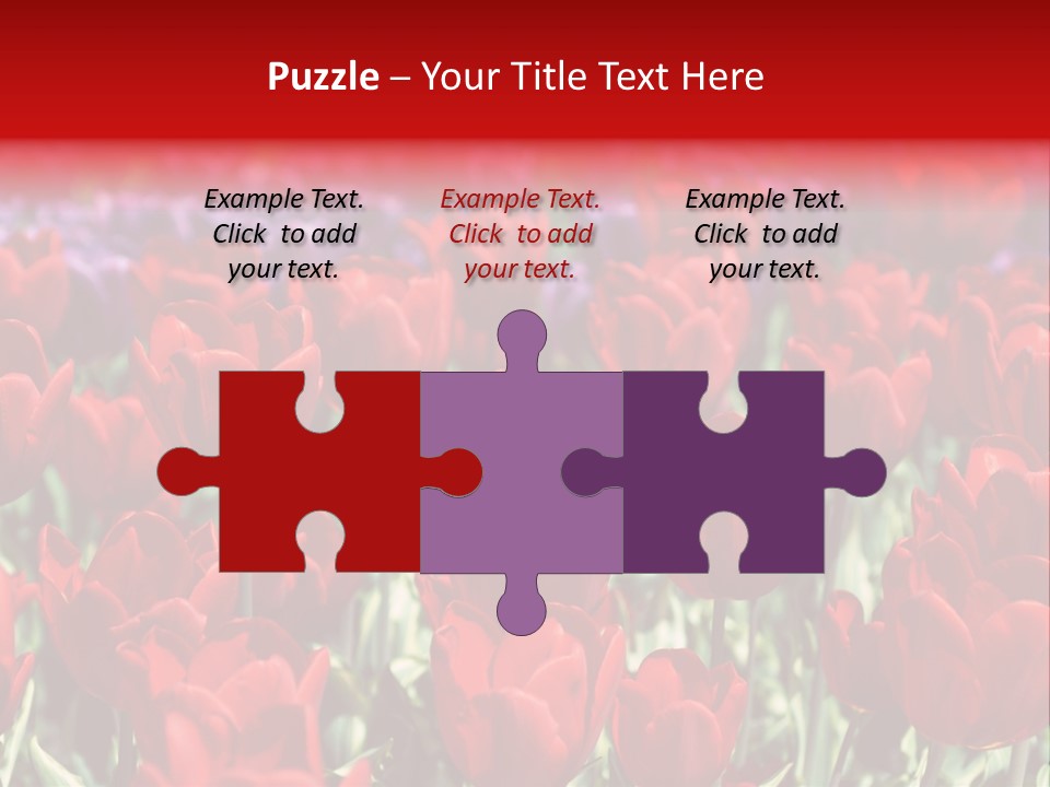 Petal Fresh Park PowerPoint Template