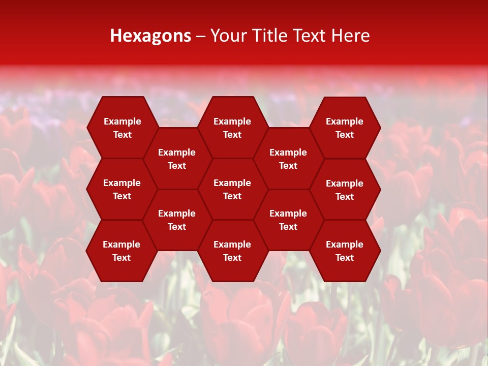 Petal Fresh Park PowerPoint Template