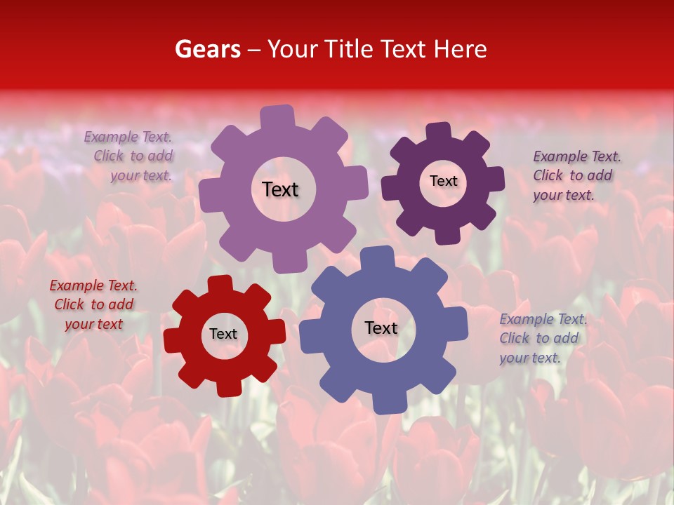 Petal Fresh Park PowerPoint Template