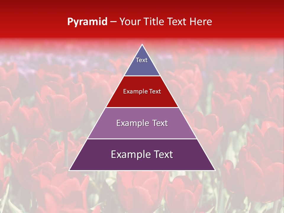 Petal Fresh Park PowerPoint Template