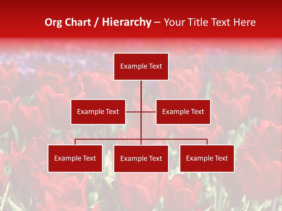 Petal Fresh Park PowerPoint Template