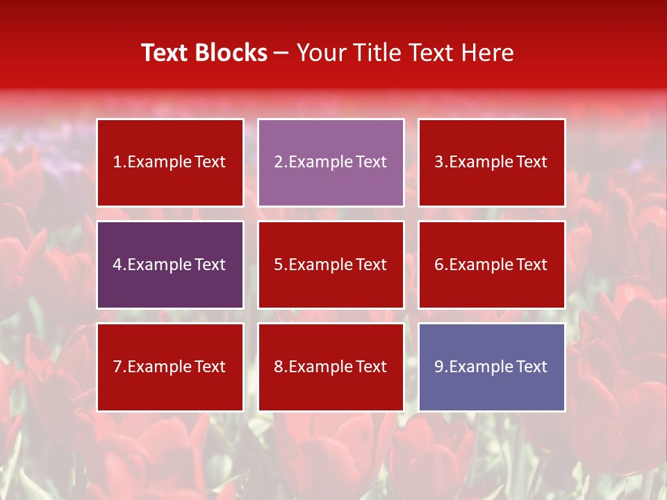 Petal Fresh Park PowerPoint Template