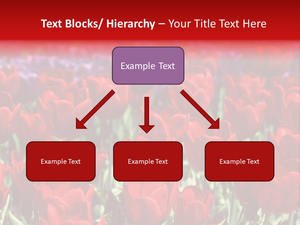 Petal Fresh Park PowerPoint Template