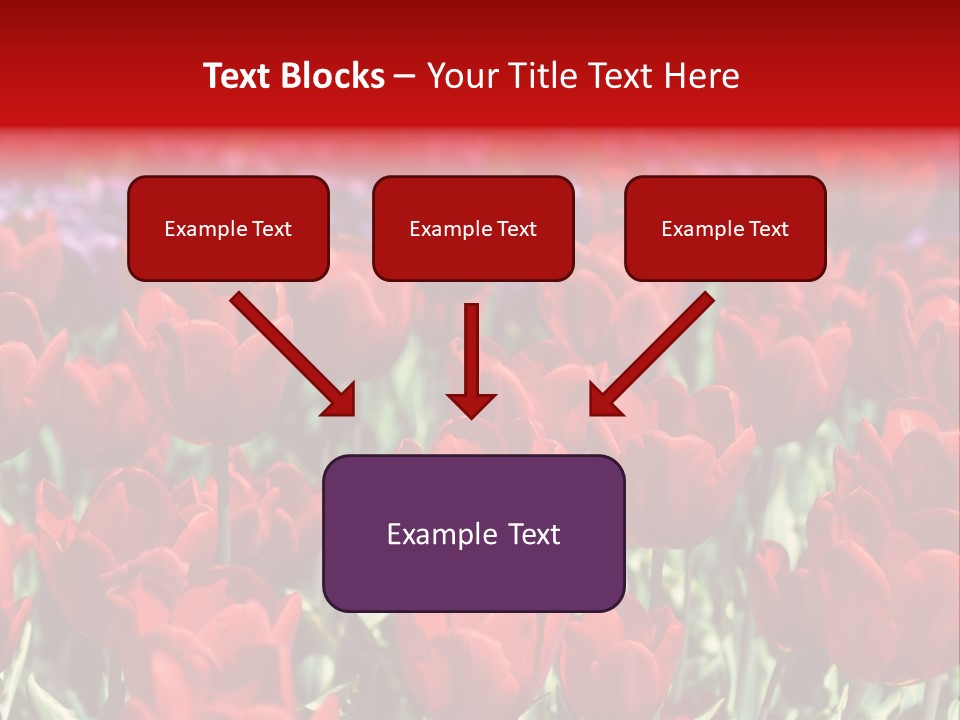 Petal Fresh Park PowerPoint Template