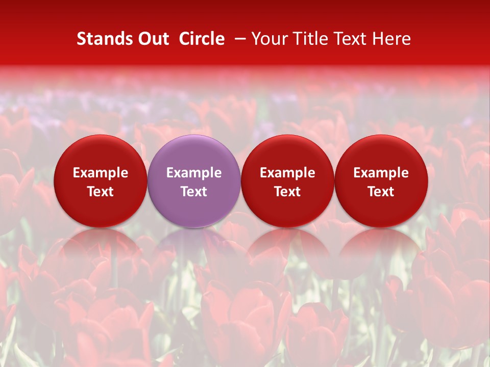 Petal Fresh Park PowerPoint Template