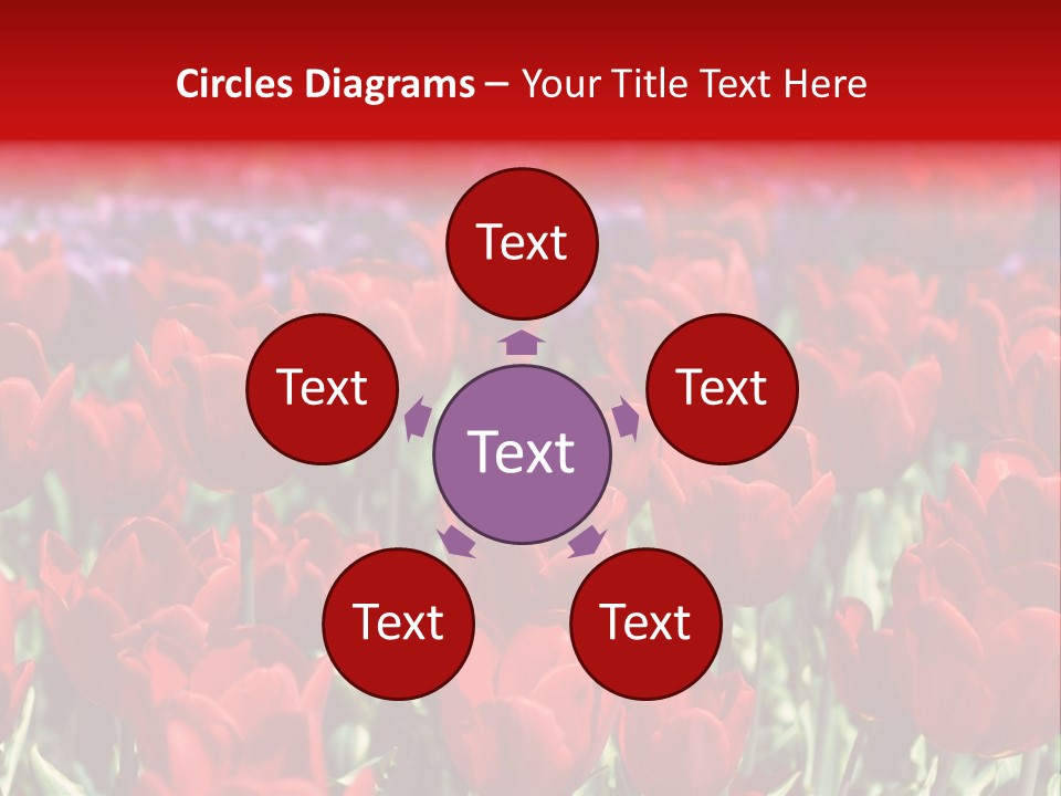 Petal Fresh Park PowerPoint Template