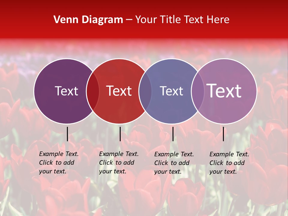 Petal Fresh Park PowerPoint Template