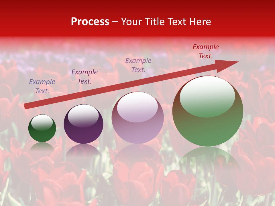 Petal Fresh Park PowerPoint Template