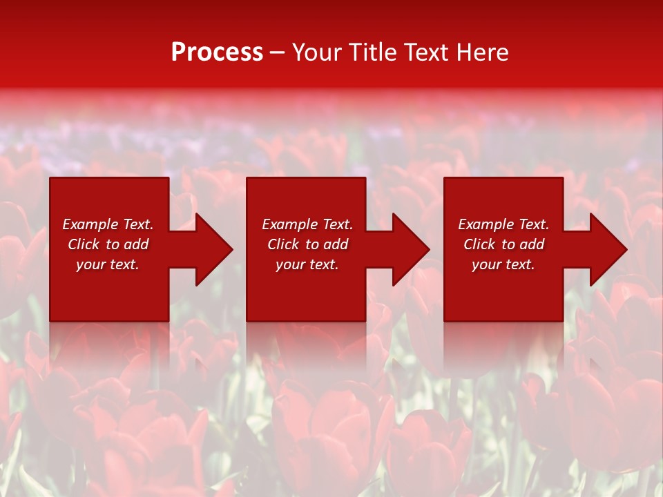 Petal Fresh Park PowerPoint Template
