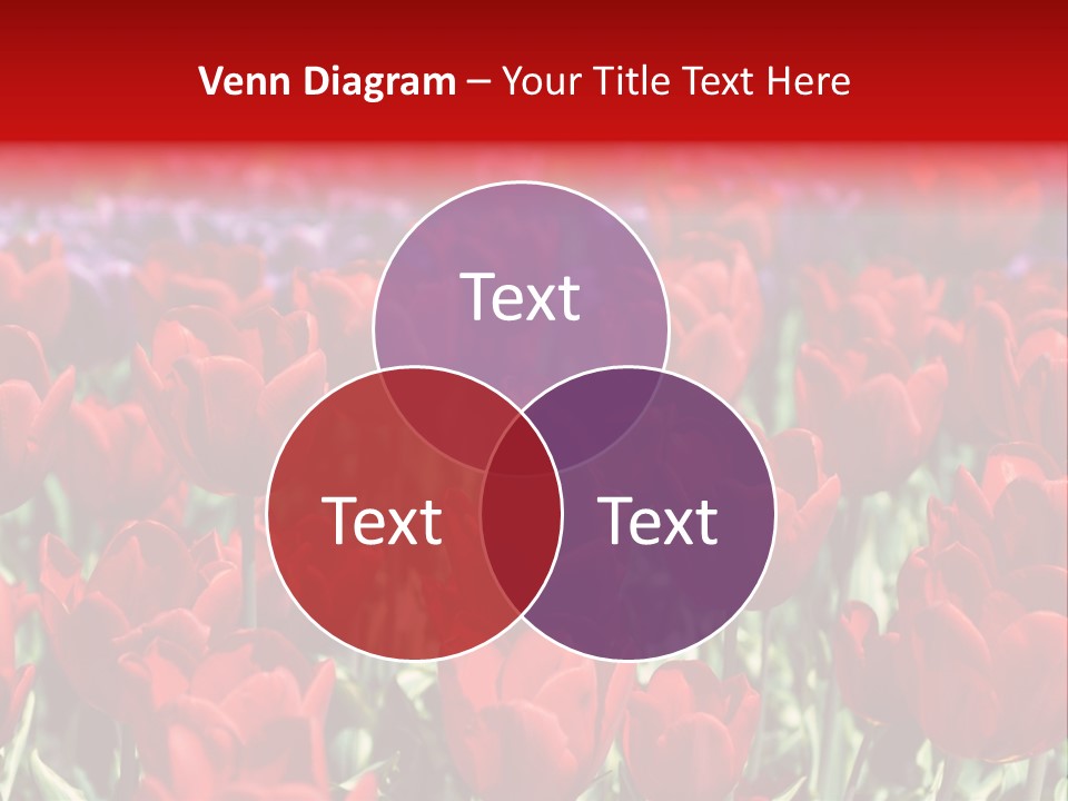 Petal Fresh Park PowerPoint Template