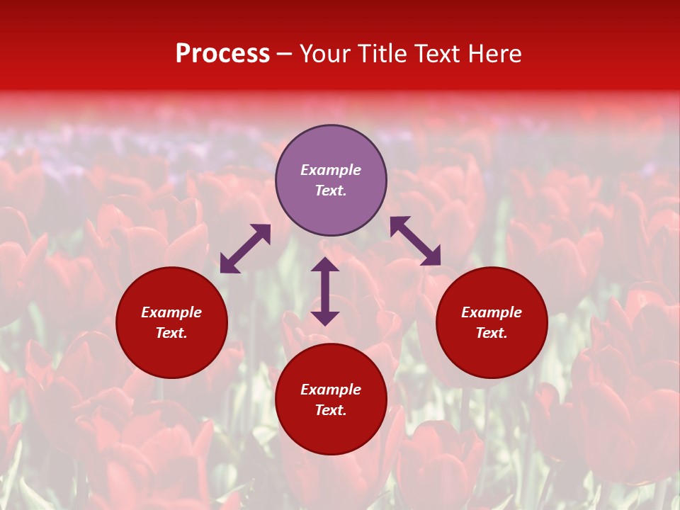 Petal Fresh Park PowerPoint Template