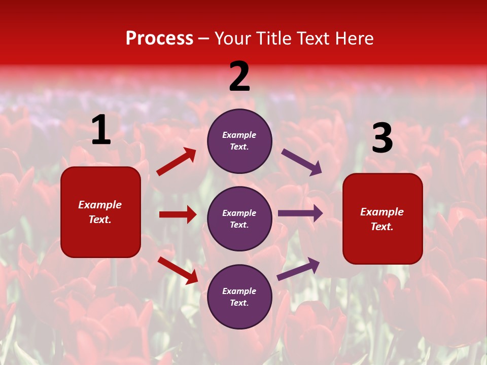 Petal Fresh Park PowerPoint Template