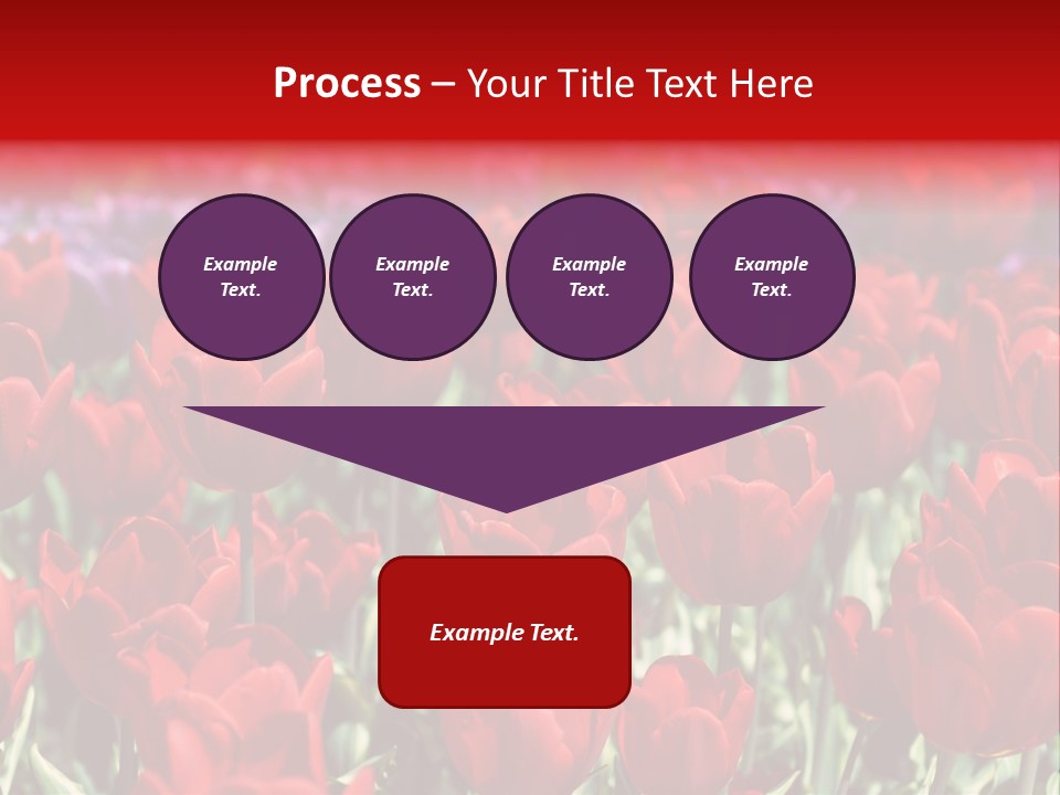 Petal Fresh Park PowerPoint Template