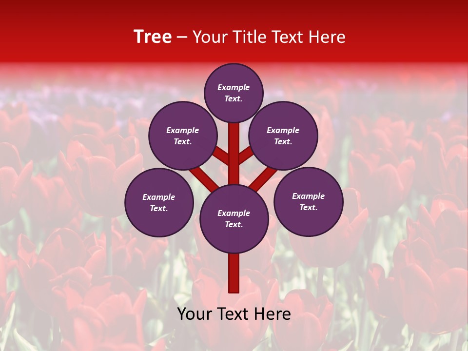 Petal Fresh Park PowerPoint Template