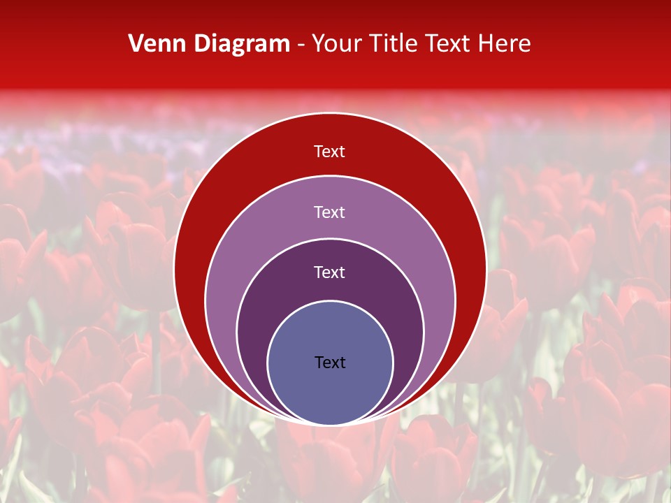 Petal Fresh Park PowerPoint Template