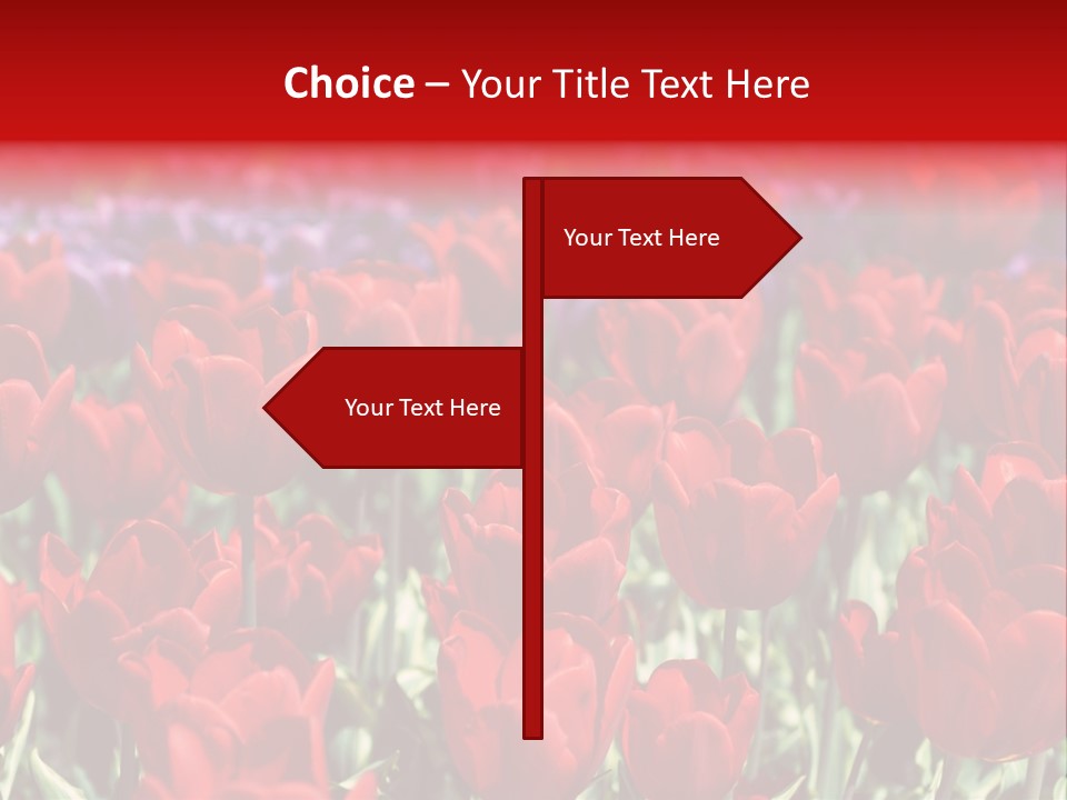 Petal Fresh Park PowerPoint Template