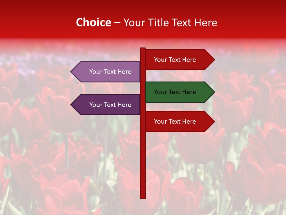 Petal Fresh Park PowerPoint Template