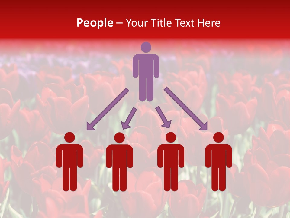 Petal Fresh Park PowerPoint Template