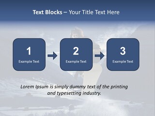 Sky Vacation Sport PowerPoint Template