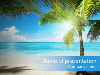 Island Tree Green PowerPoint Template