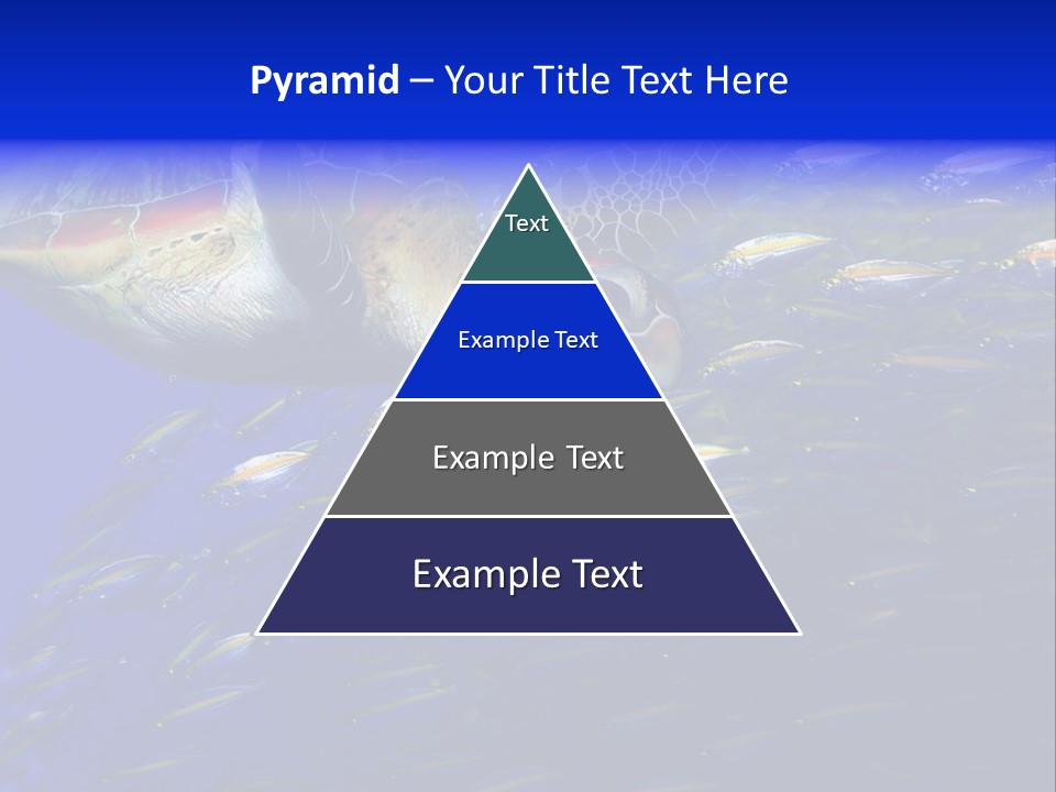 Healthy Female Measure PowerPoint Template