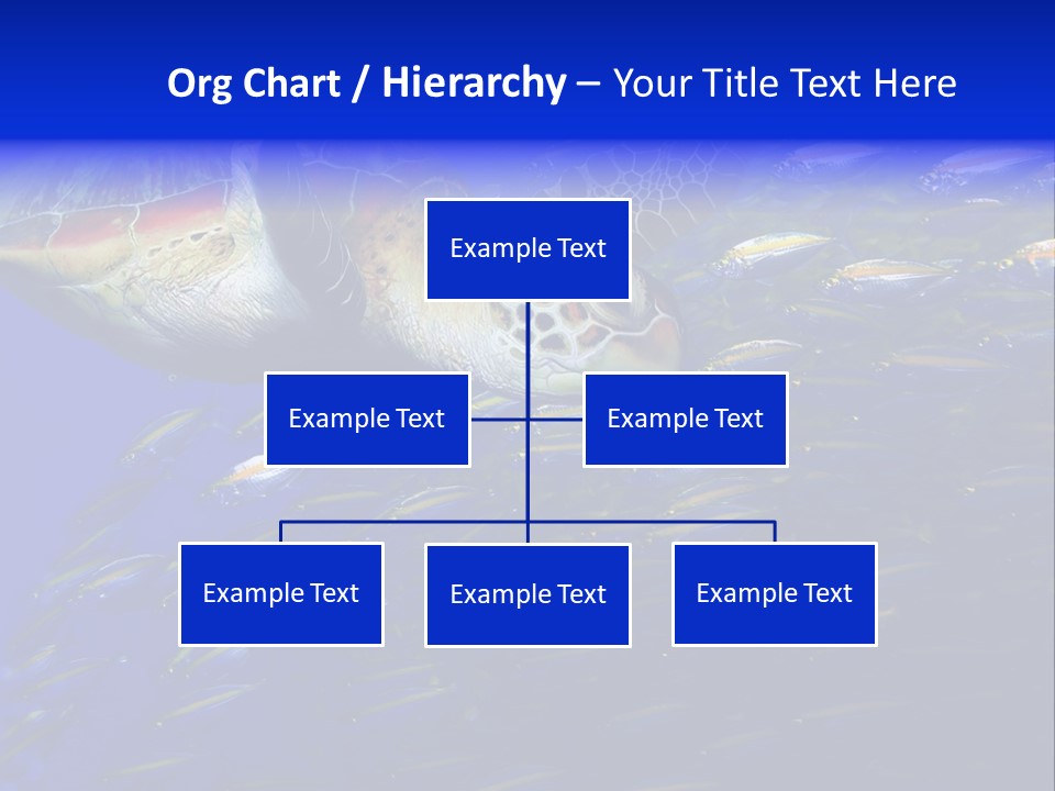 Healthy Female Measure PowerPoint Template