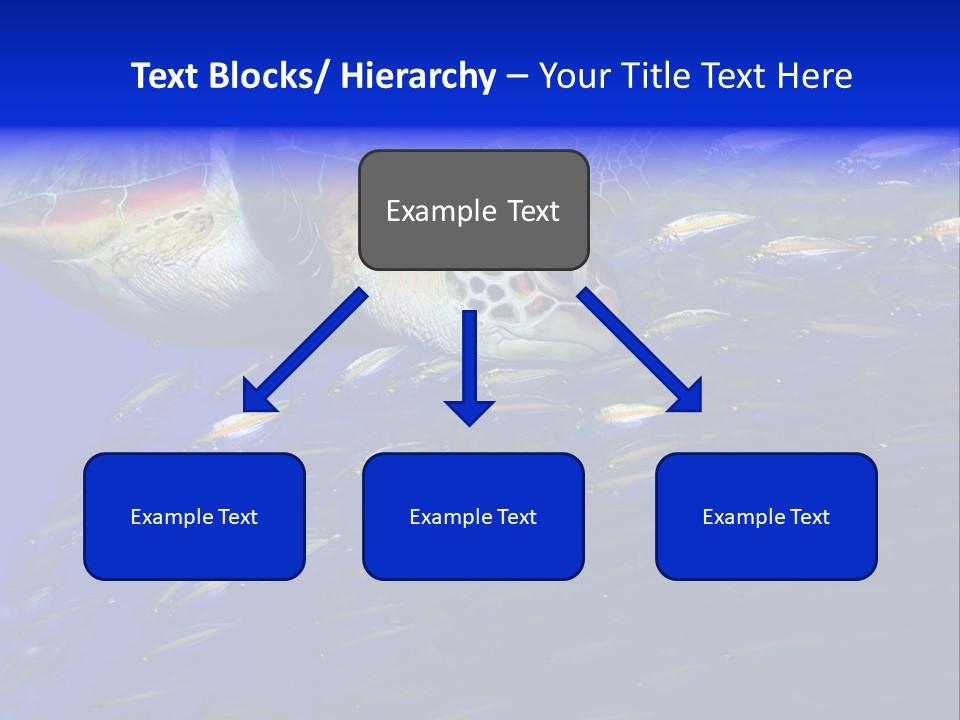 Healthy Female Measure PowerPoint Template