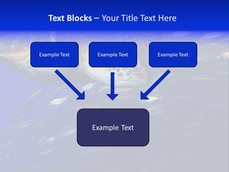 Healthy Female Measure PowerPoint Template
