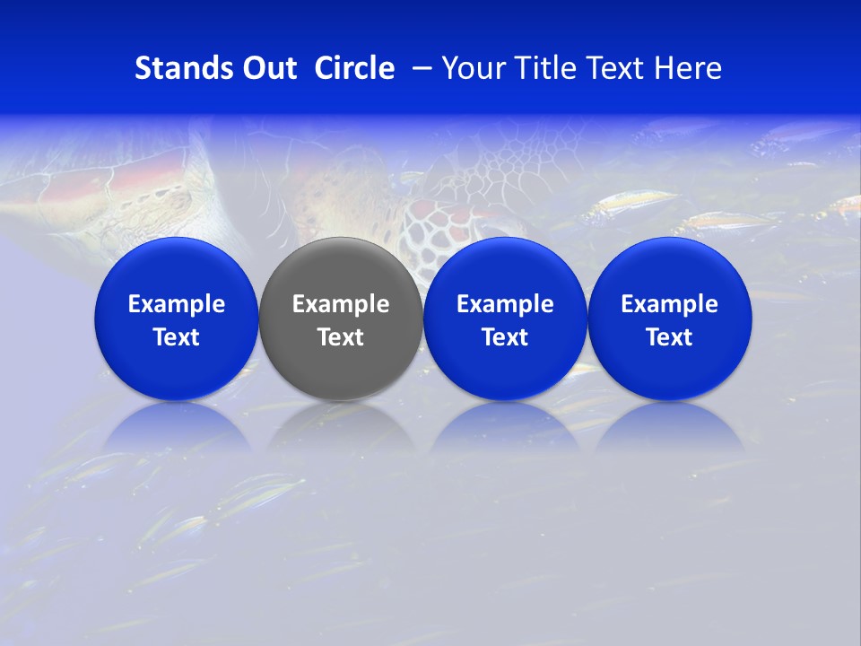 Healthy Female Measure PowerPoint Template