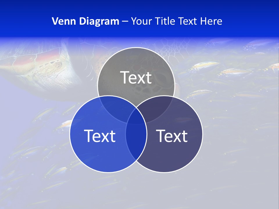 Healthy Female Measure PowerPoint Template