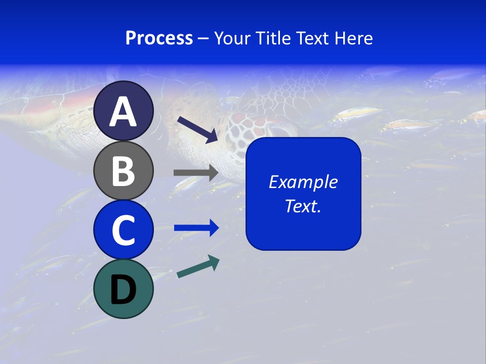 Healthy Female Measure PowerPoint Template