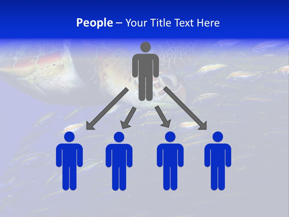 Healthy Female Measure PowerPoint Template