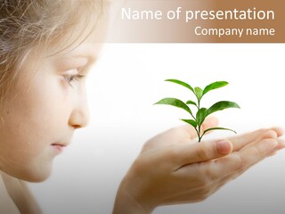 Hands Tree Environmental PowerPoint Template