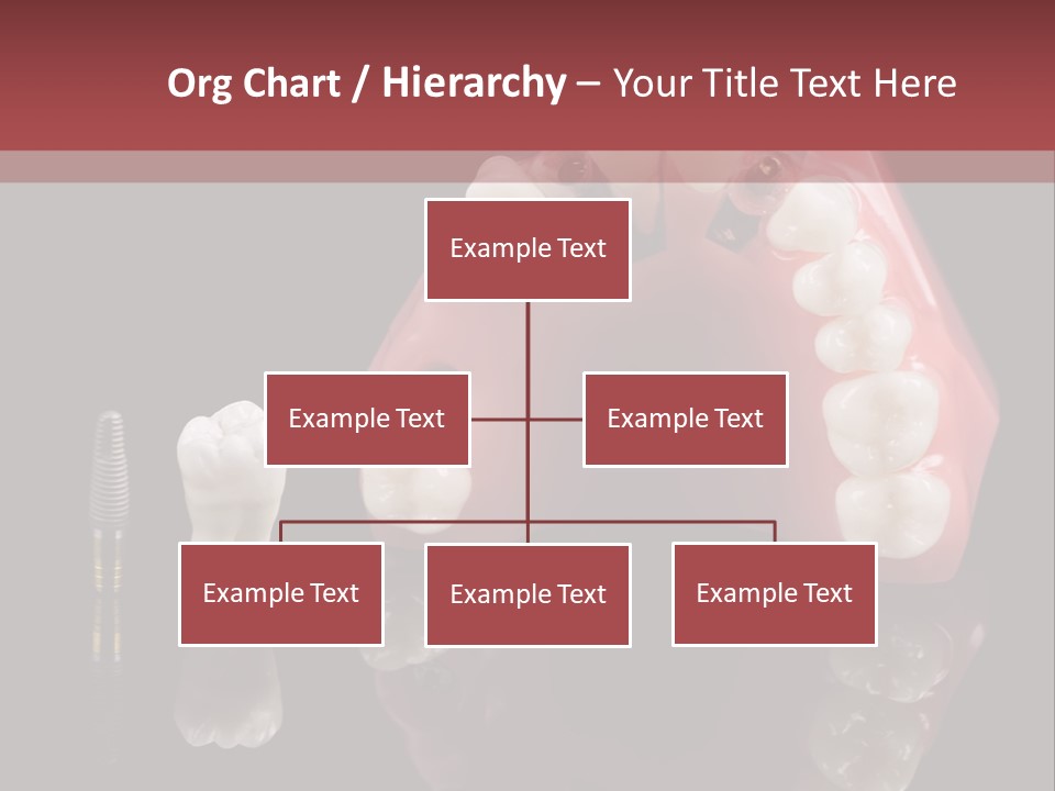 Pink Angled Orthodontist PowerPoint Template