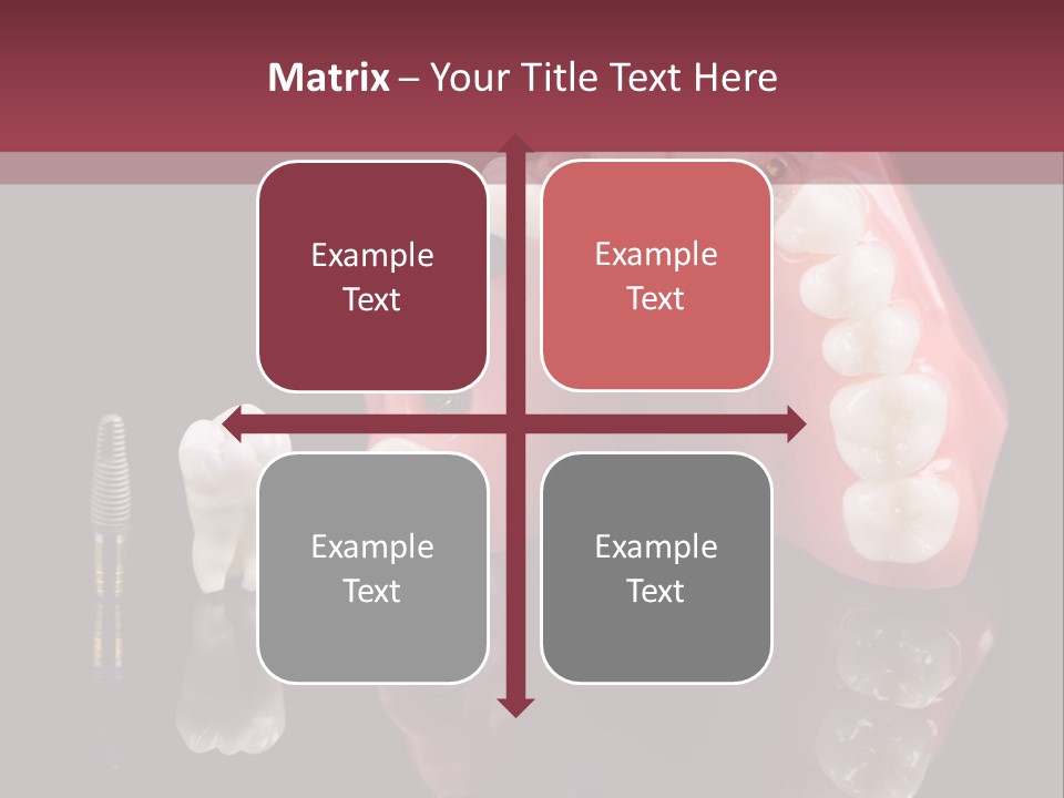 Care Anatomy Orthodonture PowerPoint Template