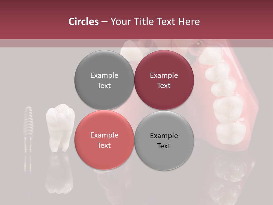 Care Anatomy Orthodonture PowerPoint Template