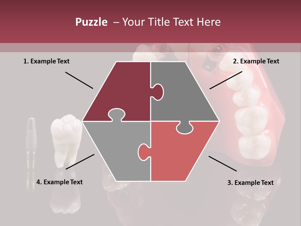 Care Anatomy Orthodonture PowerPoint Template