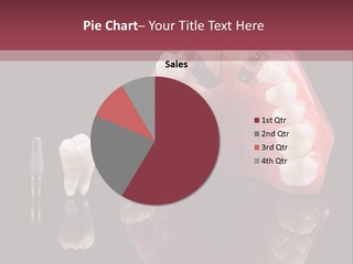 Care Anatomy Orthodonture PowerPoint Template